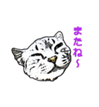 つぶやき猫_00（個別スタンプ：27）