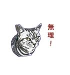 つぶやき猫_00（個別スタンプ：28）