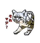 つぶやき猫_00（個別スタンプ：29）