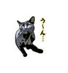 つぶやき猫_00（個別スタンプ：33）