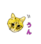 つぶやき猫_00（個別スタンプ：35）