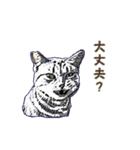 つぶやき猫_00（個別スタンプ：36）