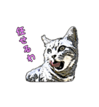 つぶやき猫_00（個別スタンプ：37）