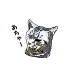 つぶやき猫_00（個別スタンプ：39）