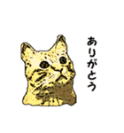 つぶやき猫_00（個別スタンプ：40）