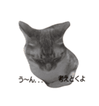 トラちゃんちゃん（個別スタンプ：6）
