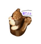 トラちゃんちゃん（個別スタンプ：8）