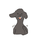 くろい犬ときいろい犬（個別スタンプ：5）