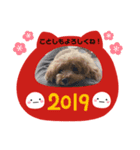 吉岡さんち（個別スタンプ：7）