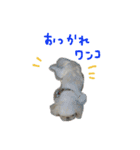 ペキニーズぶぴ（個別スタンプ：27）