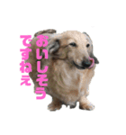 ハルと福之丞（個別スタンプ：3）