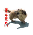 ハルと福之丞（個別スタンプ：17）