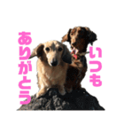 ハルと福之丞（個別スタンプ：18）