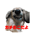 ハルと福之丞（個別スタンプ：20）