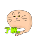 猫のスタンプです。2（個別スタンプ：10）
