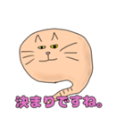 猫のスタンプです。2（個別スタンプ：13）