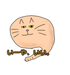 猫のスタンプです。2（個別スタンプ：14）