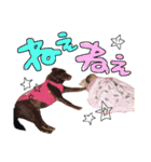 ©︎CHOCO（個別スタンプ：13）