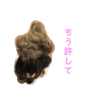 ハニー＆メイプル（個別スタンプ：10）