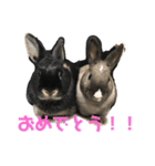 ハニー＆メイプル（個別スタンプ：17）