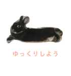 ハニー＆メイプル（個別スタンプ：18）