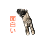 ハニー＆メイプル（個別スタンプ：24）