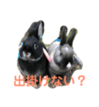 ハニー＆メイプル（個別スタンプ：32）