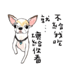 チワワの日常生活 絵本 色鉛筆（個別スタンプ：4）