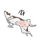 チワワの日常生活 絵本 色鉛筆（個別スタンプ：8）