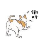 チワワの日常生活 絵本 色鉛筆（個別スタンプ：10）