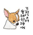 チワワの日常生活 絵本 色鉛筆（個別スタンプ：18）