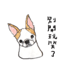 チワワの日常生活 絵本 色鉛筆（個別スタンプ：19）