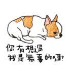 チワワの日常生活 絵本 色鉛筆（個別スタンプ：20）