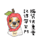 チワワの日常生活 絵本 色鉛筆（個別スタンプ：22）