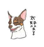 チワワの日常生活 絵本 色鉛筆（個別スタンプ：27）