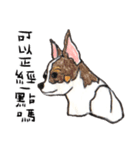 チワワの日常生活 絵本 色鉛筆（個別スタンプ：28）
