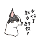 チワワの日常生活 絵本 色鉛筆（個別スタンプ：29）