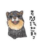 チワワの日常生活 絵本 色鉛筆（個別スタンプ：30）