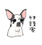 チワワの日常生活 絵本 色鉛筆（個別スタンプ：32）