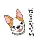 チワワの日常生活 絵本 色鉛筆（個別スタンプ：33）