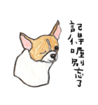 チワワの日常生活 絵本 色鉛筆（個別スタンプ：34）