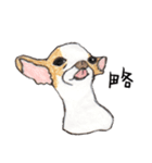 チワワの日常生活 絵本 色鉛筆（個別スタンプ：35）