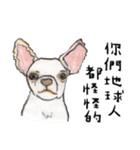 チワワの日常生活 絵本 色鉛筆（個別スタンプ：38）