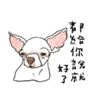 チワワの日常生活 絵本 色鉛筆（個別スタンプ：39）