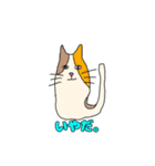猫のスタンプです。3（個別スタンプ：13）