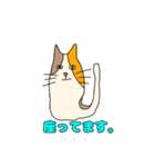 猫のスタンプです。3（個別スタンプ：15）