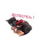 動物スタンプ2（個別スタンプ：12）
