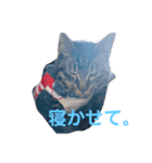 動物スタンプ2（個別スタンプ：16）