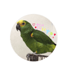 歴代ペットたち（個別スタンプ：2）