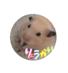 歴代ペットたち（個別スタンプ：6）